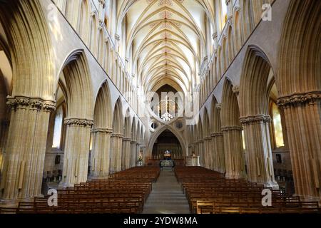 Wells Cathedral, eine anglikanische Kathedrale aus dem 12. Jahrhundert, die St. Andreas dem Apostel gewidmet ist, Sitz des Bischofs von Bath and Wells, Wells, Somerset, England Stockfoto