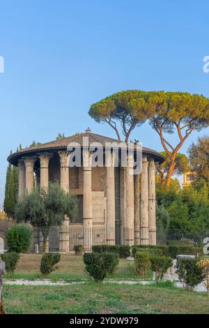 Tempel des Herkules Victor (Tempio di Ercole Vincitore), Rom, Latium, Italien, Europa Stockfoto