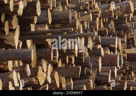 Weyerhaeuser Zellstofffabrik und Rundholzplatz, Grande Prairie, Alberta, Kanada Stockfoto