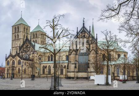 Münster Cathedral oder St. Paulus Dom ist die Dom-Kirche der römisch-katholischen Diözese von Münster in Deutschland Stockfoto