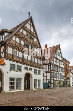 Straße mit dekorativen Fachwerkhäusern im Stadtzentrum von Lemgo, Deutschland, Europa Stockfoto