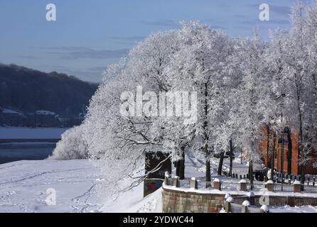 Winterbäume am Flussufer in der Stadt Kaunas Stockfoto