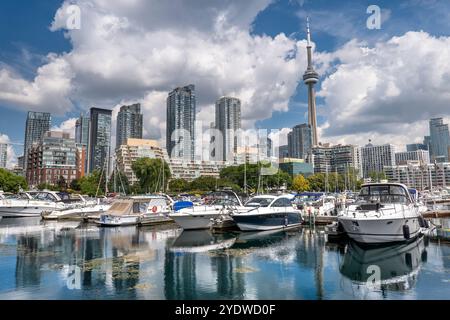 Skyline von Toronto Ontario Canada vom Yachthafen aus Stockfoto