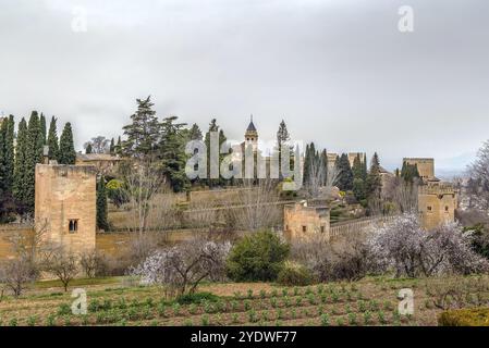 Blick auf die Alhambra vom Garten Generalife, Granada, Spanien, Europa Stockfoto