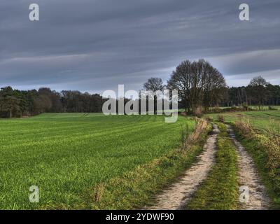 Eine ländliche Landstraße führt durch eine breite grüne Wiese unter bewölktem Himmel, Reken, münsterland, deutschland Stockfoto