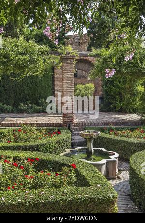 Die Alcazaba ist eine palastartige Festung in Malaga, Spanien. Innengarten Stockfoto