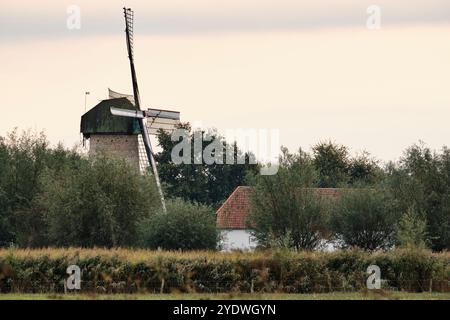 Die malerische Szene der niederländischen Mühle namens „de Kilsdonkse Molen“ ist eine so genannte „Watervluchtmolen“, eine kombinierte Wasser- und windbetriebene Mühle in Heeswijk-Dint Stockfoto