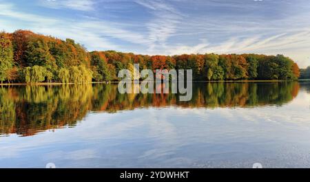 Ein farbenfroher Herbstwald spiegelt sich an einem sonnigen Tag im Wasser eines Teiches Stockfoto