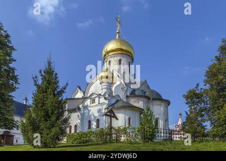 Geburtskirche der Heiligen Jungfrau Maria im Kloster Savwino-Storoschewski, Russland, Europa Stockfoto