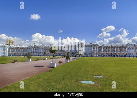 Der Katharinenpalast ist ein Rokoko-Palast in der Stadt Zarskoje Selo (Puschkin), 30 km südlich von St. Petersburg, Russland, Europa Stockfoto