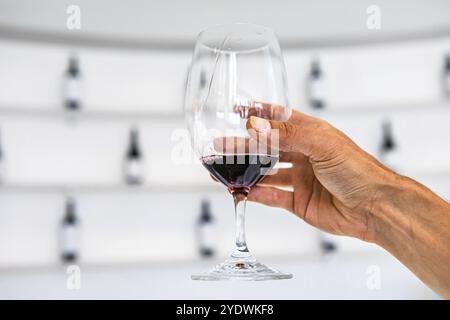 Mann hand mit einem Glas Rotwein, selektiven Fokus Nahaufnahme gegen weiße Verkostungsraum mit Weinflaschen wand Regalböden verschwommenen Hintergrund Stockfoto