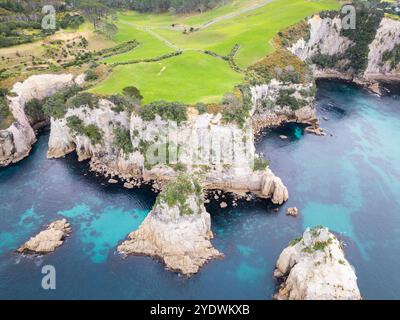 Coromandel, Neuseeland: Luftaufnahme der dramatischen Küste der Coromandel pensinsula in der Nähe der Strandstadt Hahei bei Whitianga in Neuseeland Nor Stockfoto