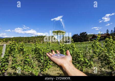 Ein Glas klarer Weißwein an der Hand mit wunderschönem Blick auf die Weinberge des Okanagan Valley, Weingüter, Bauernhof Gebäude Hintergrund Stockfoto