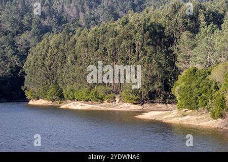 Malerische Landschaft mit dem Wasser des Staudamms rio da Mula, der von einem dichten Eukalyptuswald umgeben ist, in serra de sintra, portugal Stockfoto