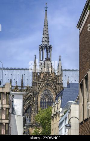 Der Kölner Dom ist ein römisch-katholischer Dom in Köln. Blick aus dem Süden Stockfoto