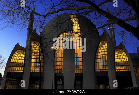 Die beleuchtete zentrale Moschee in Köln in der Abenddämmerung Stockfoto