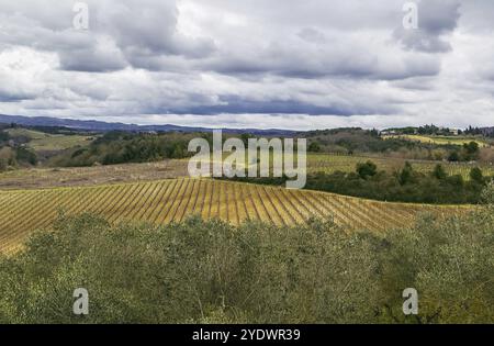 Toskanische Frühlingslandschaft rund um die Stadt Monteriggioni, Italien, Europa Stockfoto
