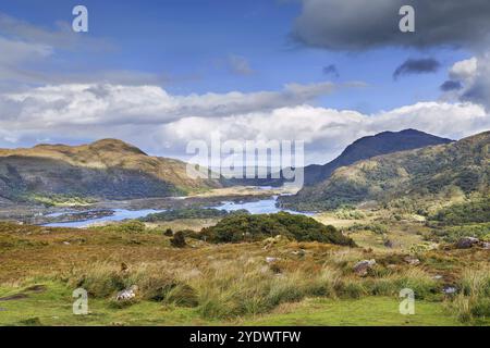 Die Landschaft von Ladies View ist ein malerischer Aussichtspunkt auf der Touristenroute Ring of Kerry. Irland Stockfoto