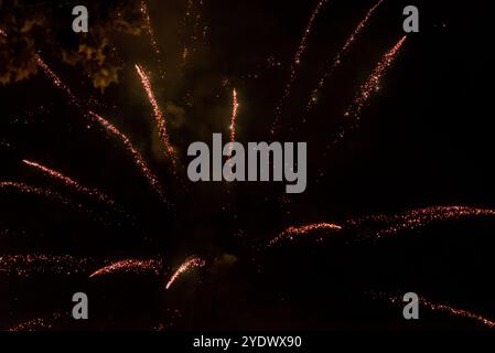 Lebendiges Goldfeuerwerk, Das Gegen Den Nachthimmel Stürzt Stockfoto