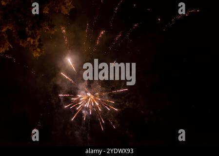 Lebendiges Goldfeuerwerk, Das Gegen Den Nachthimmel Stürzt Stockfoto