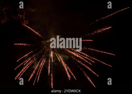 Lebendiges Goldfeuerwerk, Das Gegen Den Nachthimmel Stürzt Stockfoto