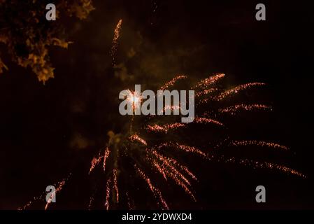 Lebendiges Goldfeuerwerk, Das Gegen Den Nachthimmel Stürzt Stockfoto