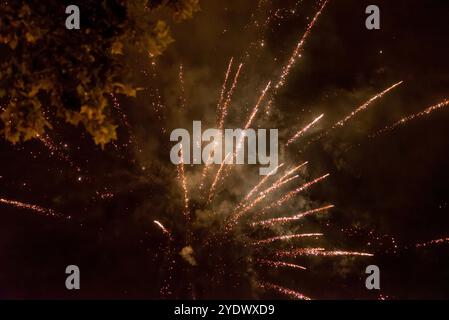 Lebendiges Goldfeuerwerk, Das Gegen Den Nachthimmel Stürzt Stockfoto