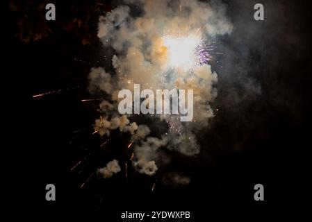 Lebendiges Goldfeuerwerk, Das Gegen Den Nachthimmel Stürzt Stockfoto