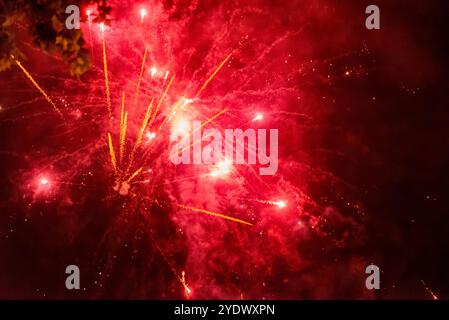Lebendiges Goldfeuerwerk, Das Gegen Den Nachthimmel Stürzt Stockfoto