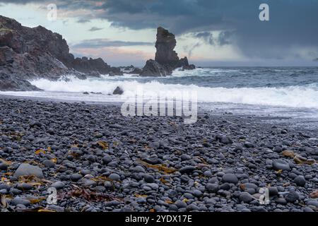 Wellen stürzen auf einen Black Pebble Beach, Reykjanes Halbinsel, Island Stockfoto