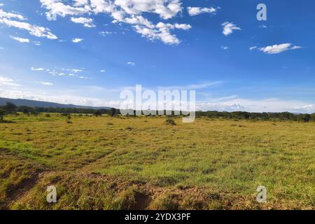 Blick auf die Savannenebene vor bewölktem Himmel. nakuru kenia. Nationalpark, Afrika. Stockfoto