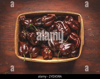 Schokoladen-Scotch-Paprika auf rustikalem Holztisch Stockfoto