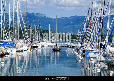 Ein Segelboot fährt einen Rollweg entlang des Hafens von Port Plaisance entlang des Genfer Sees in Genf, Schweiz. Stockfoto