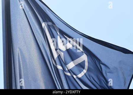 VW-Zeichen auf der Fahne eines Autohändlers, Symbolfoto VW-Krise *** VW-Zeichen auf der Flagge eines Autohändlers, symbolisches Foto VW-Krise Stockfoto