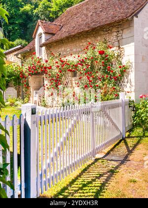 Weiß lackierte doppelte Gartentore mit Kletterrosen an der Wand eines kleinen Landhauses - Boussay, Indre-et-Loire (37), Frankreich. Stockfoto