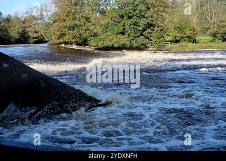 Landy Wasserkraftwerk Archimedes Doppelschneckenturbinen auf dem Dart Wehr bei Totnes, South Devon, der Gezeitengrenze des Flusses, nach starken Regenfällen. Stockfoto