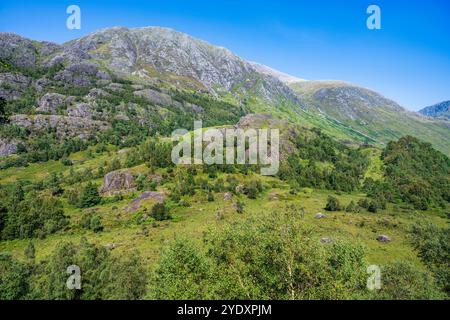 Glen Nevis und die Ben Nevis Range nahe Fort William in Lochaber, Scottish Highlands, Schottland Stockfoto