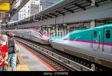 Zwei japanische Hochgeschwindigkeitszüge am Bahnsteig Shinkensen im Bahnhof Tokio am 7. Oktober 2024 Stockfoto