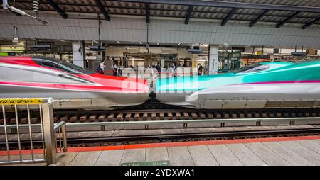 Zwei japanische Hochgeschwindigkeitszüge am Bahnsteig Shinkensen im Bahnhof Tokio am 7. Oktober 2024 Stockfoto