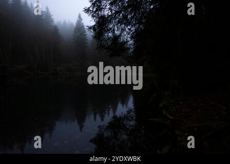 Pfanntalsteich Oberhof 27102024 - der Pfanntalsteich bei Oberhof in Thüringen ist ein historischer Teich im Thüringer Wald, der im 17. Jahrhundert zur Wasserversorgung des Bergbaus angelegt wurde. Heute dient er als idyllischer Erholungsort und ist von Wanderwegen umgeben, die Naturfreunden und Familien eine schoene Umgebung bieten. Im Sommer laden die umliegenden Waelder zum Wandern und Radfahren ein, waehrend der Teich im Winter eine romantische, schneebedeckte Atmosphaere bietet. Als geschuetztes Gebiet ist der Pfanntalsteich außerdem ein wertvoller Lebensraum für diverse Tier- und Pflanzen Stockfoto