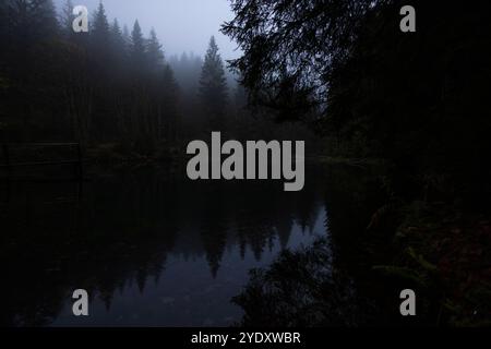 Pfanntalsteich Oberhof 27102024 - der Pfanntalsteich bei Oberhof in Thüringen ist ein historischer Teich im Thüringer Wald, der im 17. Jahrhundert zur Wasserversorgung des Bergbaus angelegt wurde. Heute dient er als idyllischer Erholungsort und ist von Wanderwegen umgeben, die Naturfreunden und Familien eine schoene Umgebung bieten. Im Sommer laden die umliegenden Waelder zum Wandern und Radfahren ein, waehrend der Teich im Winter eine romantische, schneebedeckte Atmosphaere bietet. Als geschuetztes Gebiet ist der Pfanntalsteich außerdem ein wertvoller Lebensraum für diverse Tier- und Pflanzen Stockfoto