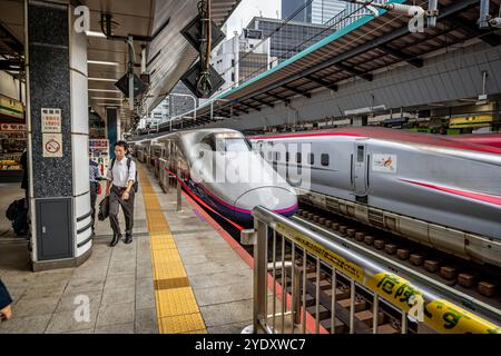 Zwei japanische Hochgeschwindigkeitszüge am Bahnsteig Shinkensen im Bahnhof Tokio am 7. Oktober 2024 Stockfoto