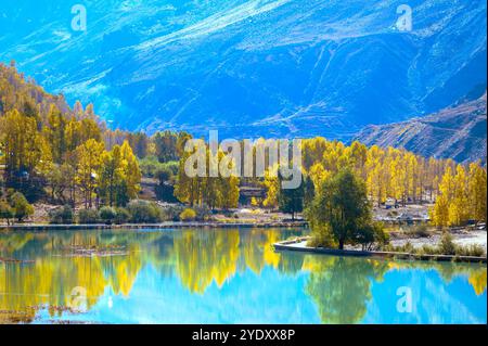 Herbst in den Bergen. Sissu ist eine kleine Stadt im indischen Lahaul Valley in Himachal Pradesh, .40 km von Manali und dem Ufer des Chandrabhaga River entfernt. Stockfoto