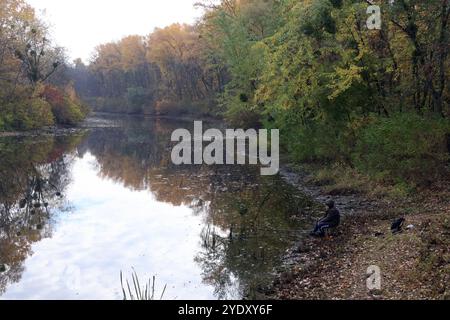 KIEW, UKRAINE - 27. OKTOBER 2024 - Ein Junge fischt auf der Insel Truchaniv, Kiew, Hauptstadt der Ukraine. Stockfoto