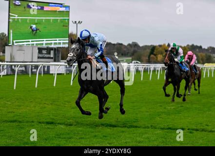 Leicester, Großbritannien, 28.10.2024, Belgrave, geritten von Rossa Ryan, gewinnt die britischen EBF-Einsteiger 2,40 auf Leicester Racecourse, Leicester Picture von Paul Blake/Alamy Sports News Stockfoto