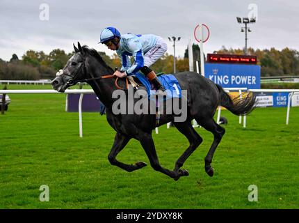 Leicester, Großbritannien, 28.10.2024, Belgrave, geritten von Rossa Ryan, gewinnt die britischen EBF-Einsteiger 2,40 auf Leicester Racecourse, Leicester Picture von Paul Blake/Alamy Sports News Stockfoto