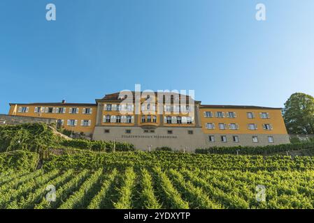 Landesweingut Meersburg, Staatsweingut, Meersburg, Bodensee, Baden-Württemberg, Deutschland Stockfoto