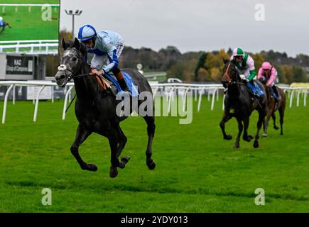 Leicester, Großbritannien, 28.10.2024, Belgrave, geritten von Rossa Ryan, gewinnt die britischen EBF-Einsteiger 2,40 auf Leicester Racecourse, Leicester Picture von Paul Blake/Alamy Sports News Stockfoto