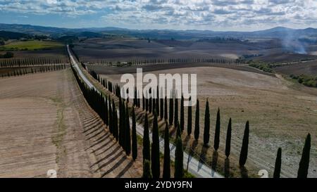 Im Herzen der Toskana erstreckt sich eine gewundene Straße durch sanfte Hügel, flankiert von eleganten Zypressen, die nach dem Himmel reichen und die ruhige Essenz italienischer landschaftlicher Schönheit einfangen. Stockfoto