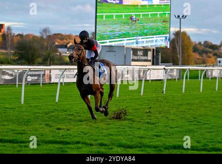 Leicester, Großbritannien, 28.10.2024, Marching Mac Ridden by Grace McEntee gewinnt 4,25 auf Leicester Racecourse, Leicester Picture von Paul Blake/Alamy Sports News Stockfoto